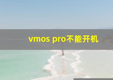 vmos pro不能开机